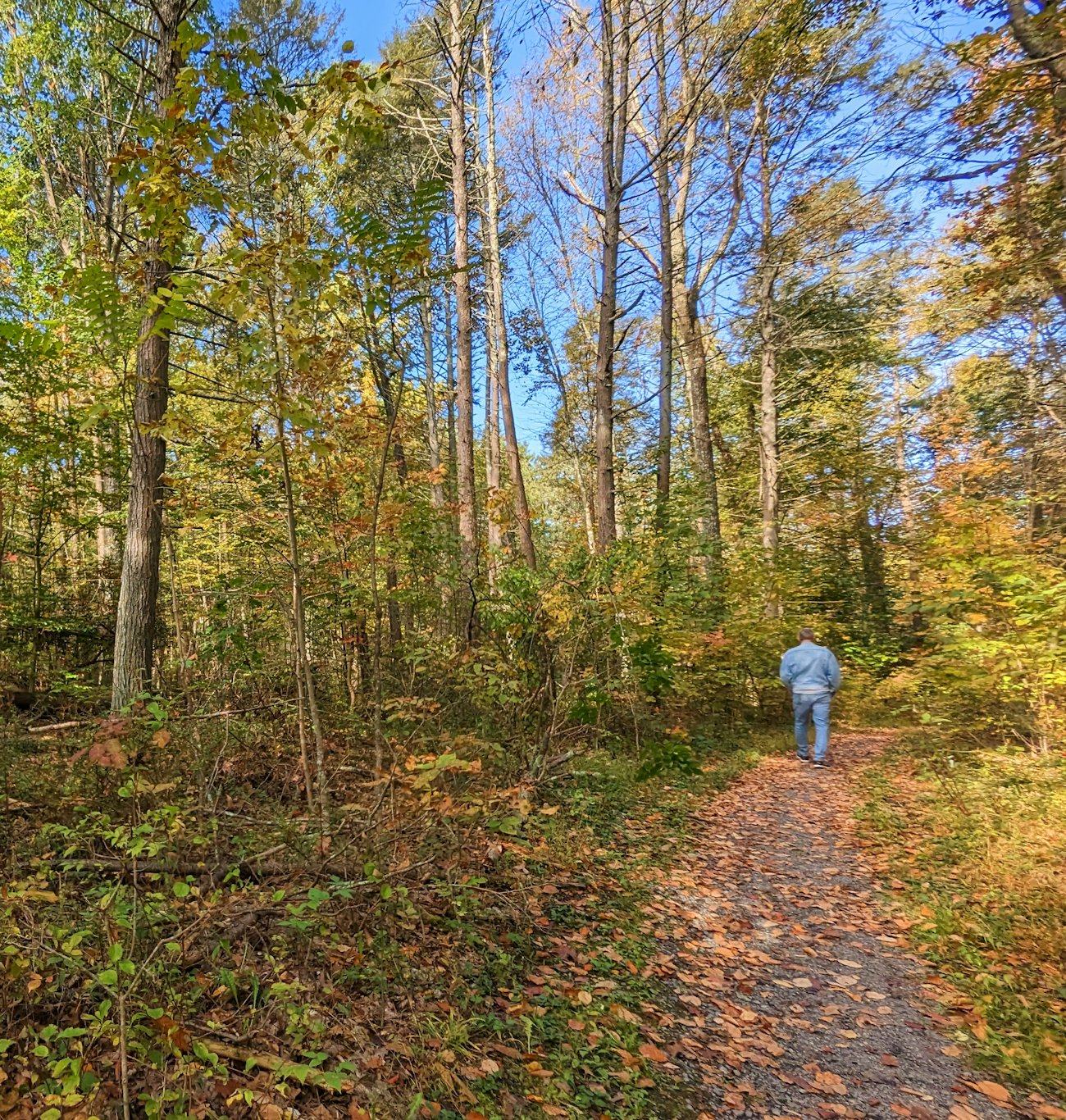Fall foliage drives