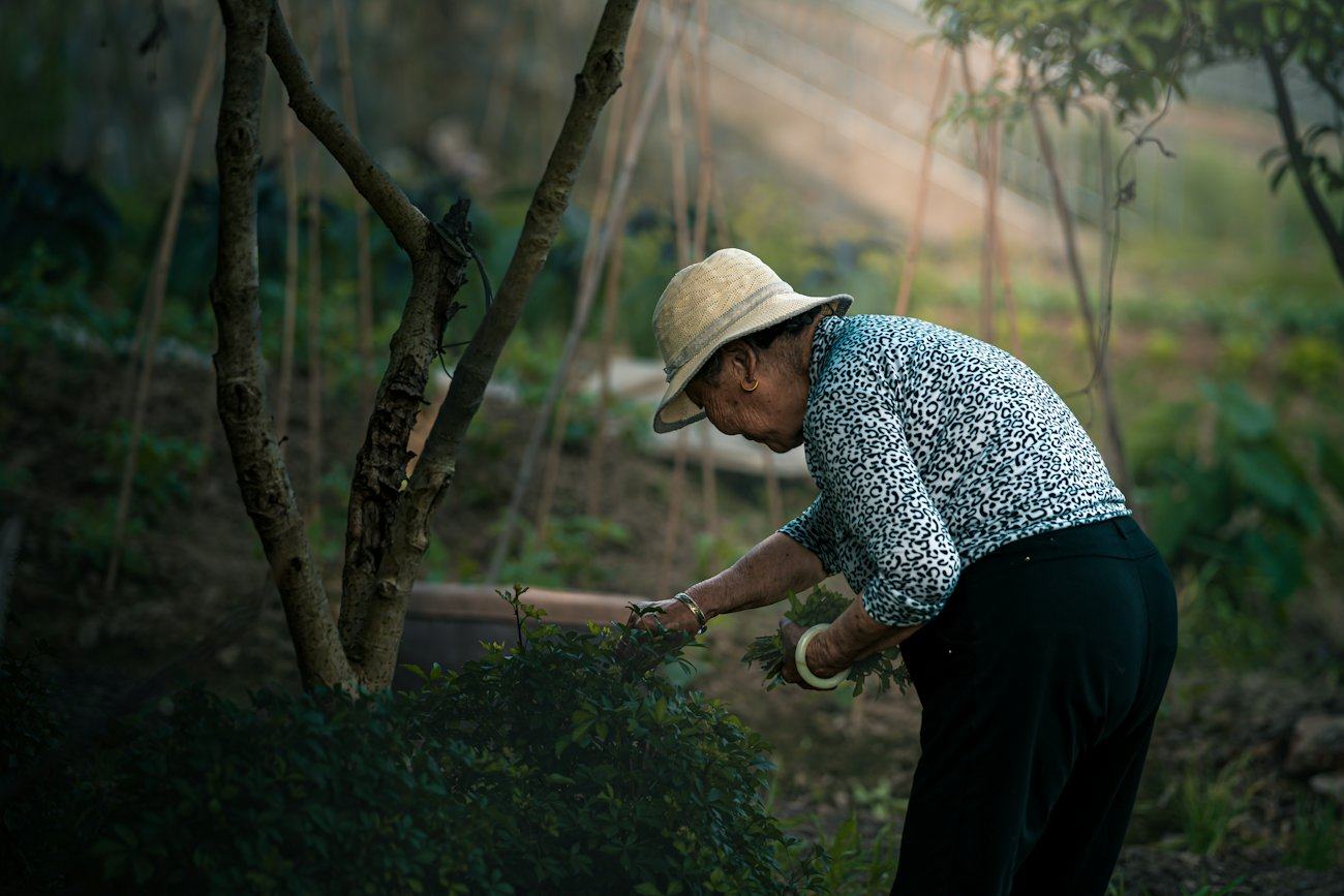 An older woman in a straw hat tending her garden